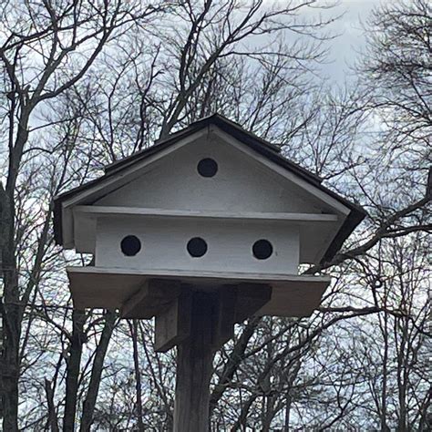 mount bird house under metal awning|pole mounted bird house.